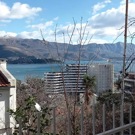 Ana Budva
